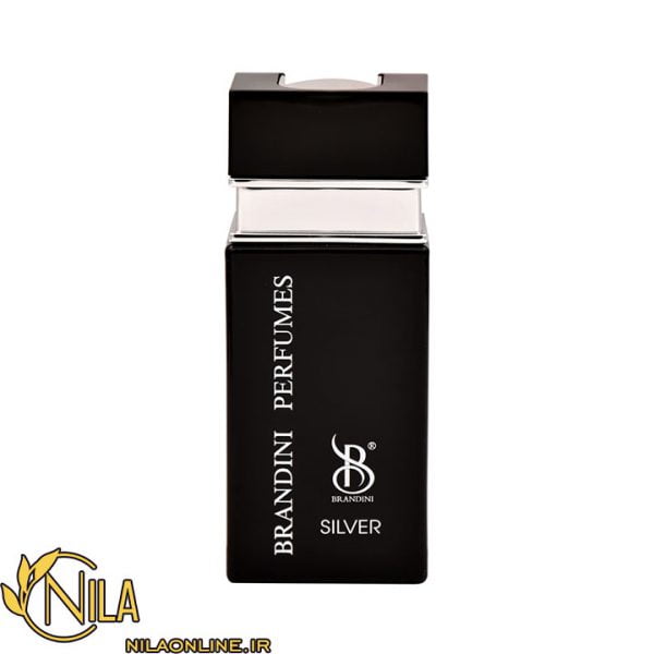 عطر ادکلن سیلور مردانه Silver برندینی